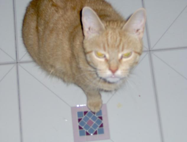 HPIM0005b.jpg