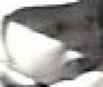 baby1_6459.jpg